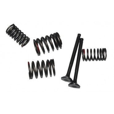 Arora Verano 125 Emme-Eksoz Si̇bobu