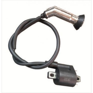 Arora Special 125  Ateşleme Bobi̇ni̇ (Euro 3)